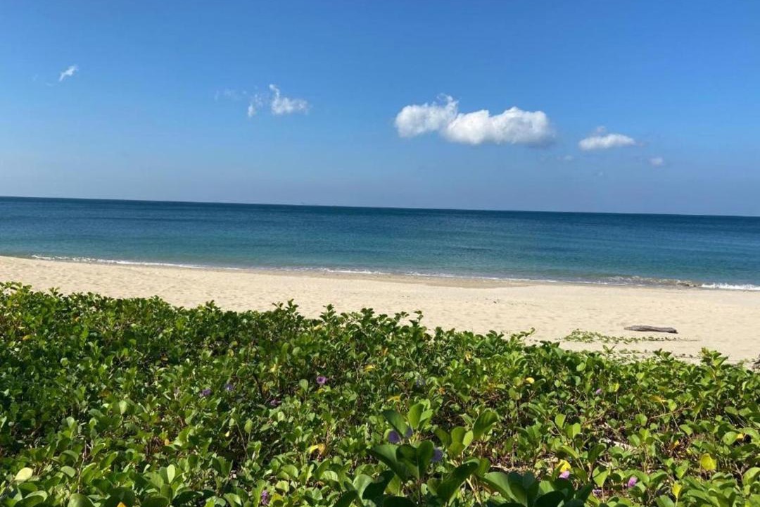 Photo of Others in Ko Lanta