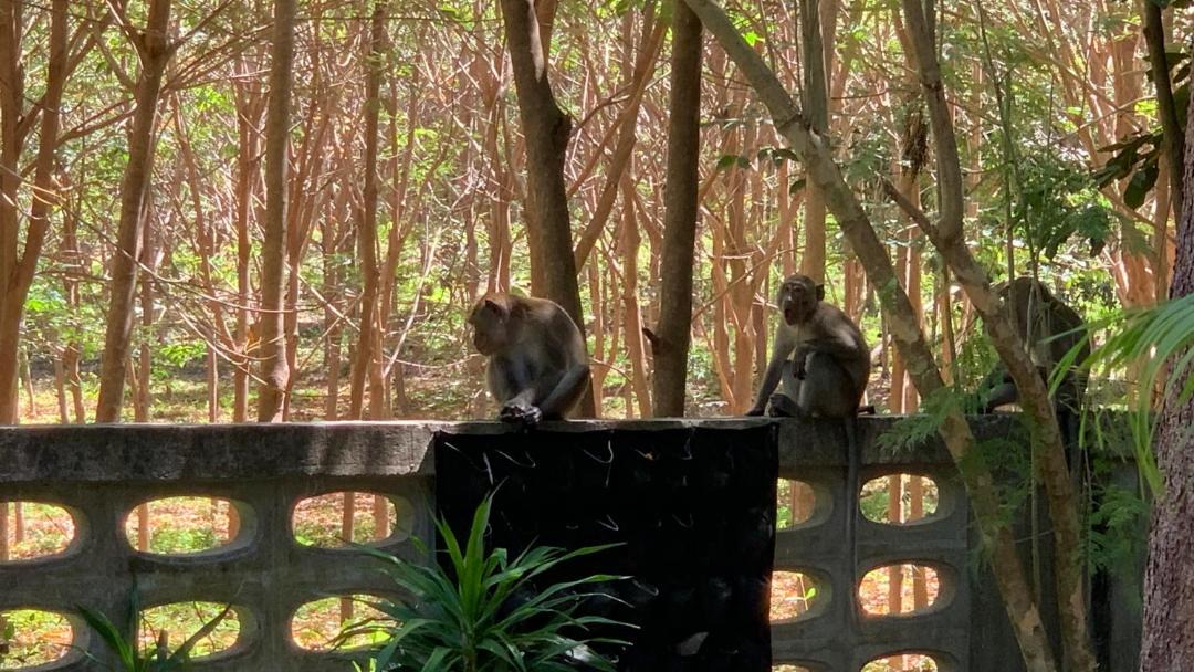 Photo of Others in Nuea Khlong