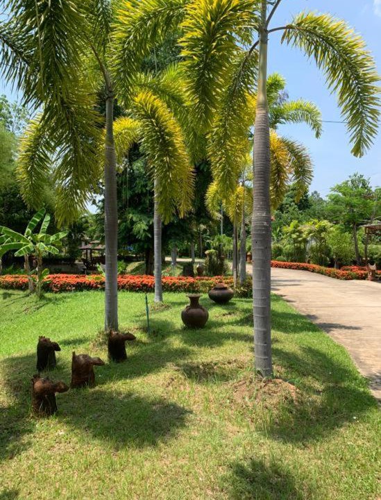 Photo of Outdoor in Choeng Doi