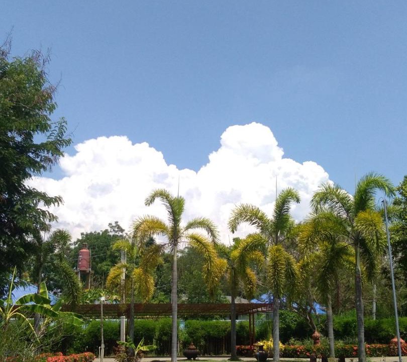Photo of Others in Choeng Doi