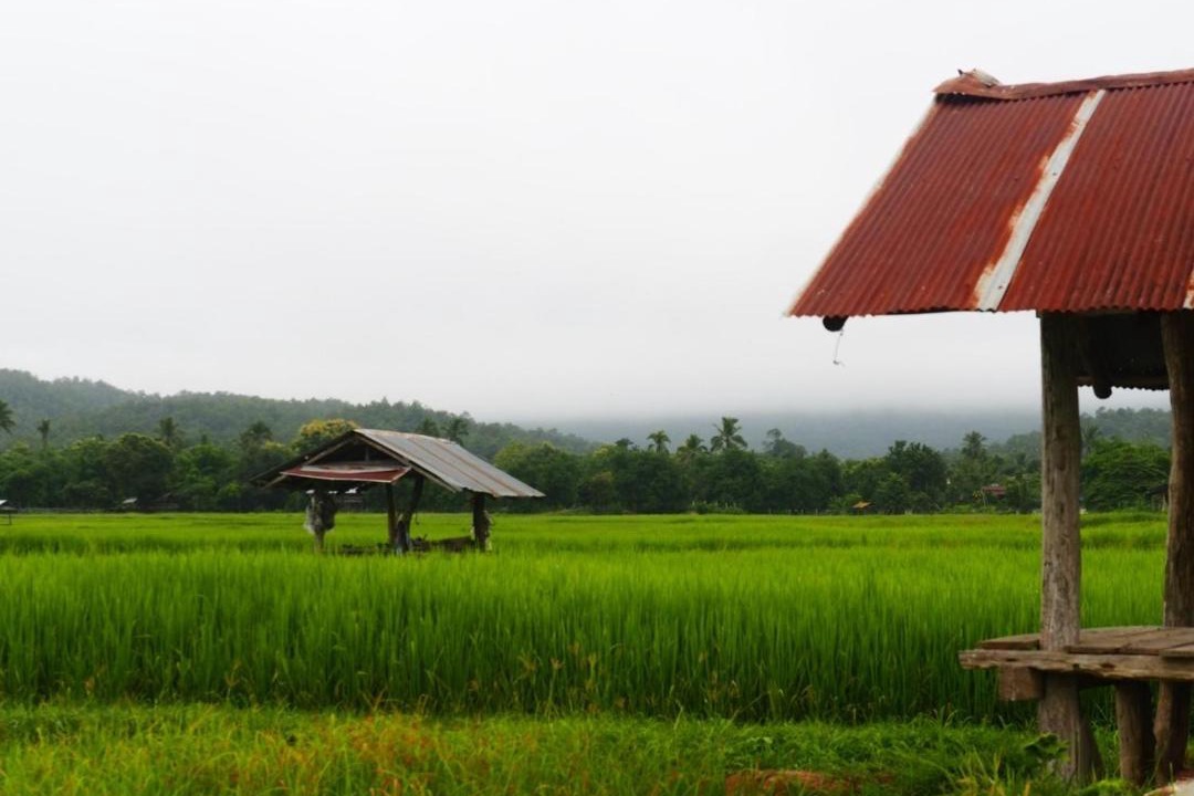 Photo of Others in Na Noi