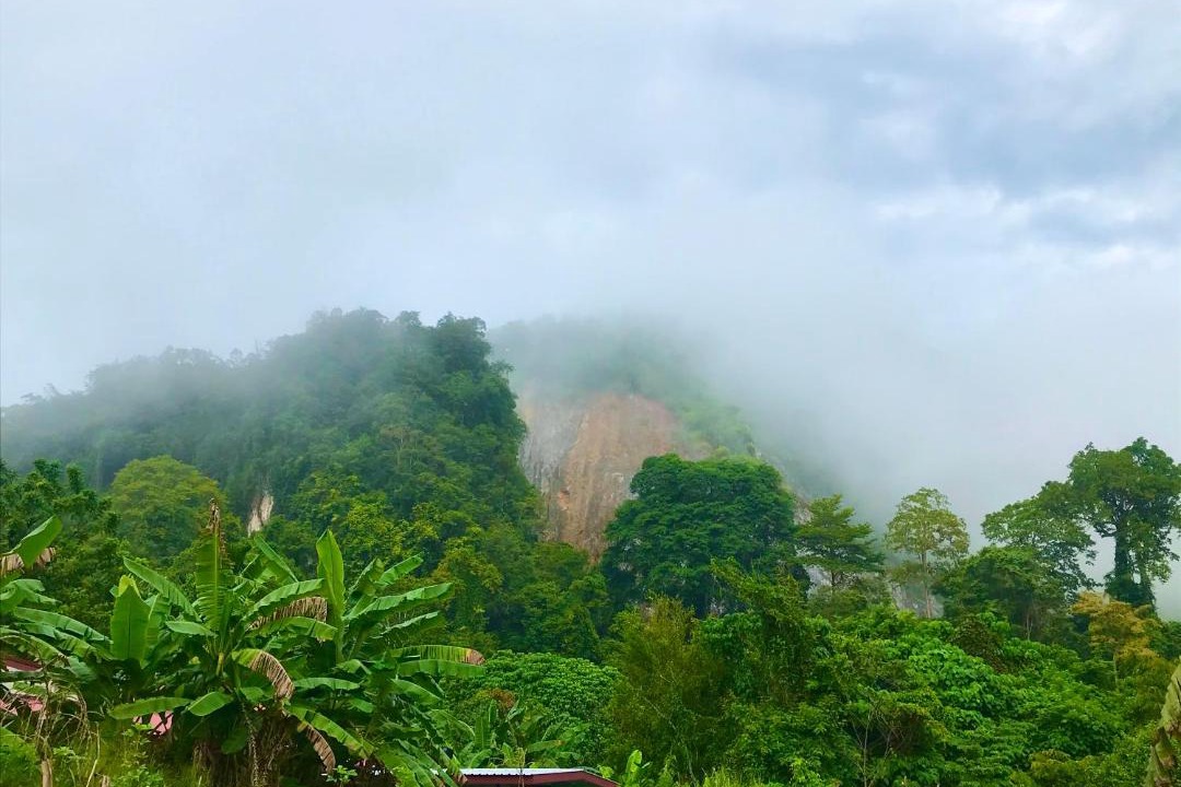Photo of Others in Krabi