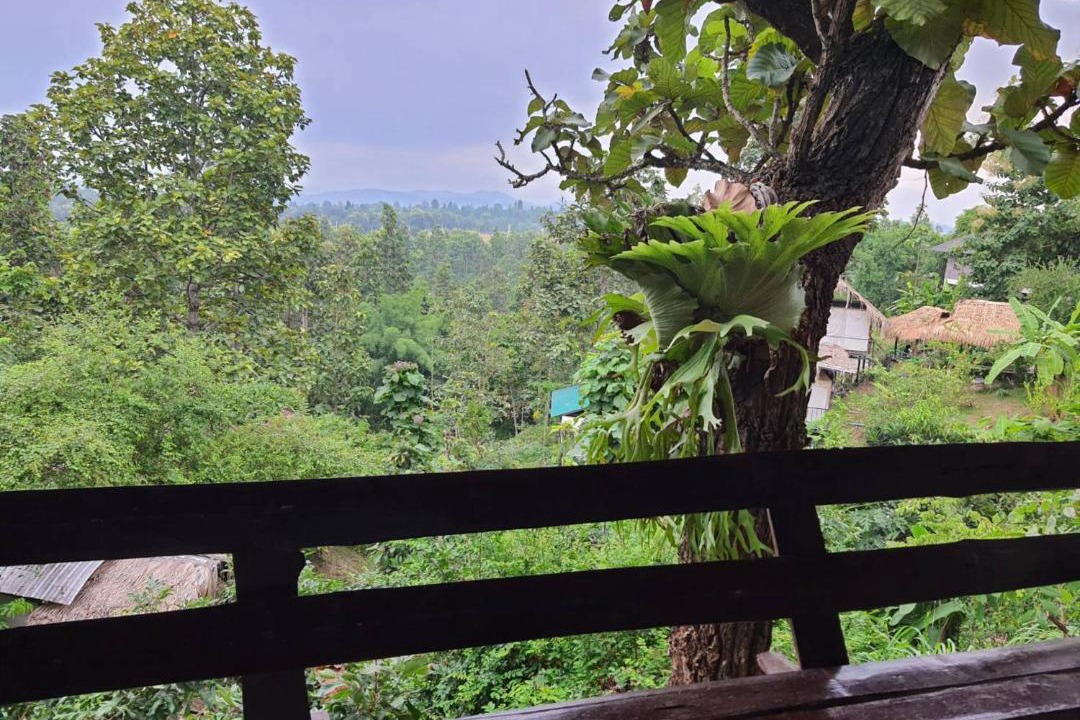 Photo of Others in Mae Taeng