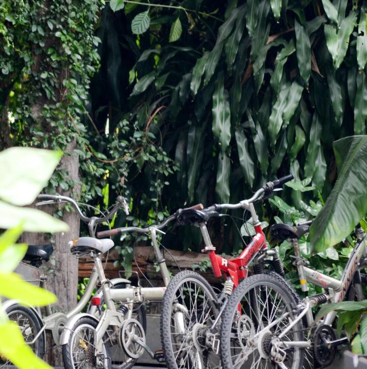 Photo of Outdoor in Chang Phueak