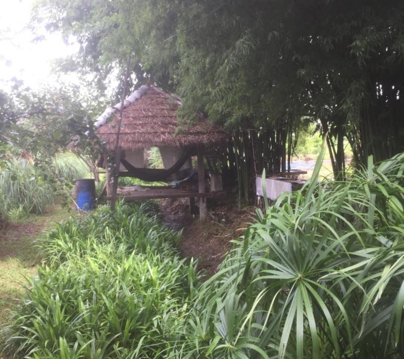 Photo of Others in Mae Taeng