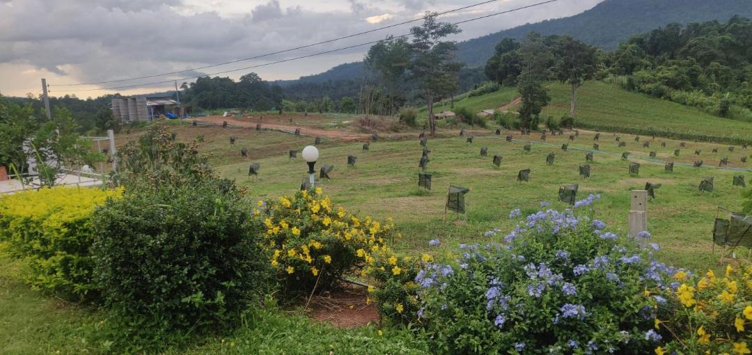 Photo of Others in Khao Kho