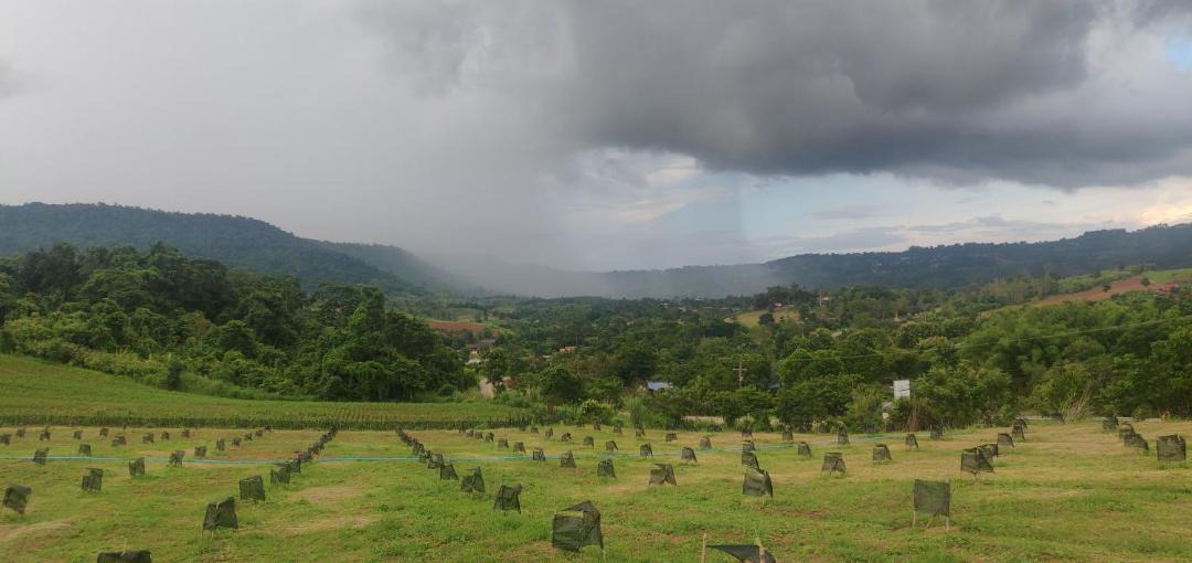 Photo of Others in Khao Kho