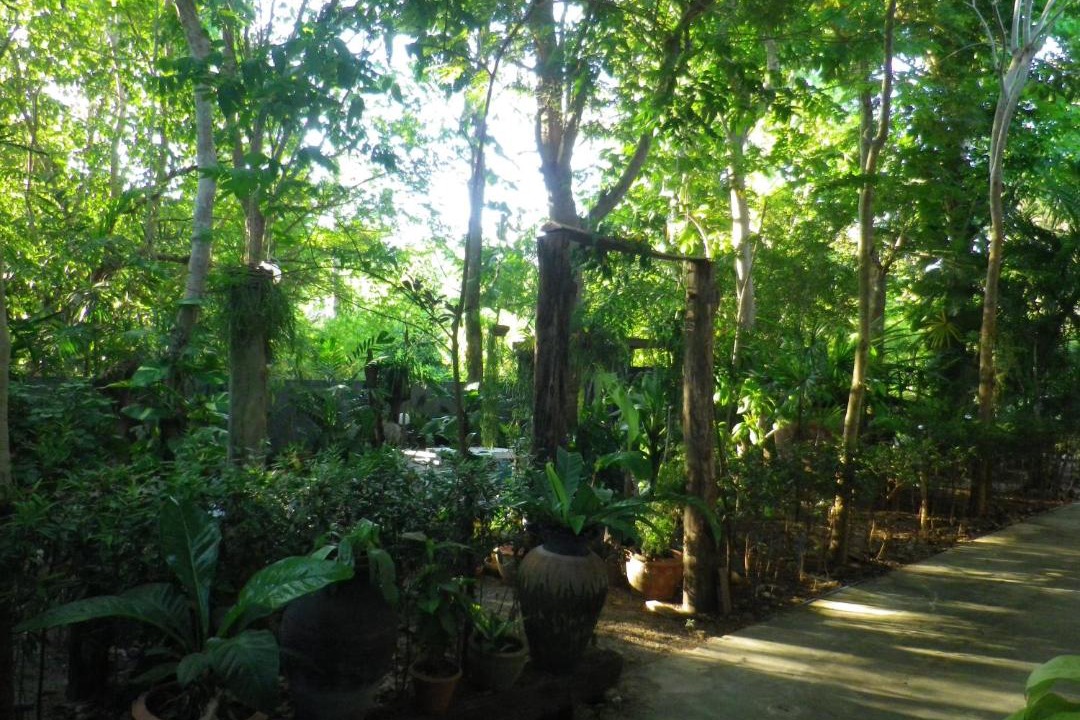 Photo of Others in Phongprasan
