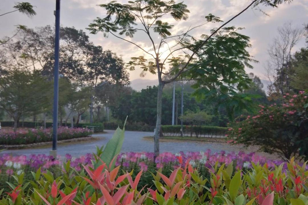 Photo of Others in Phlap Phla