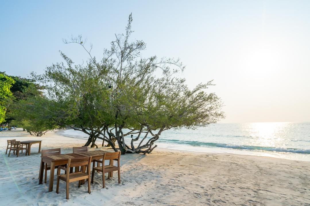 Photo of Others in Rayong