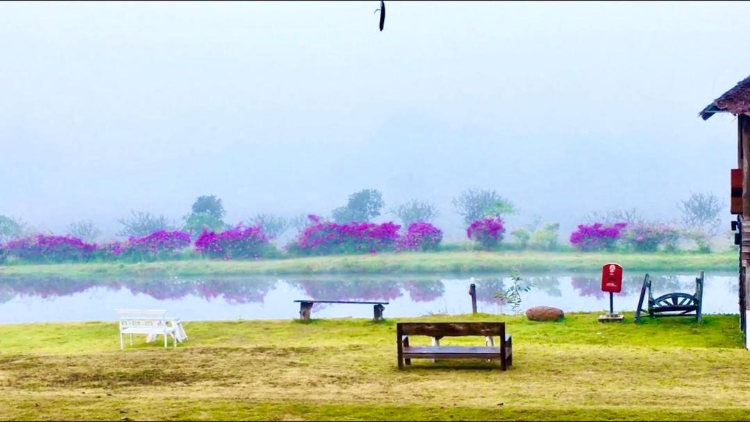 Photo of Others in Pai
