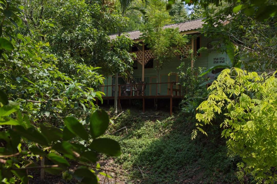 Photo of Outdoor in Khao Khitchakut