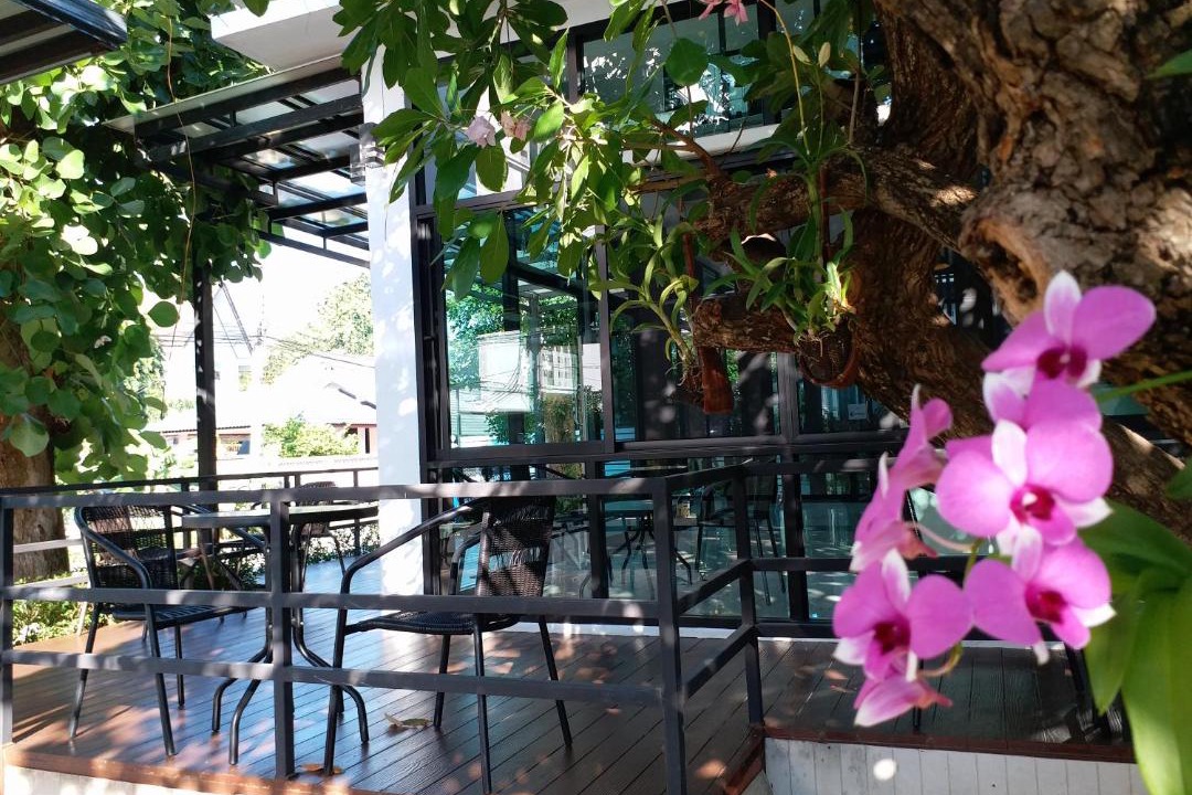 Photo of Others in Phitsanulok