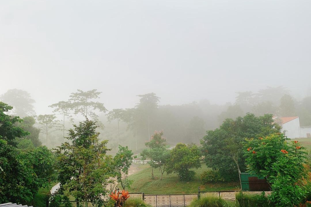 Photo of Others in Pong Ta Long