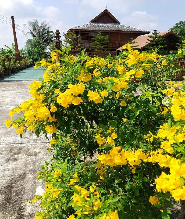 Photo of Others in San Kamphaeng