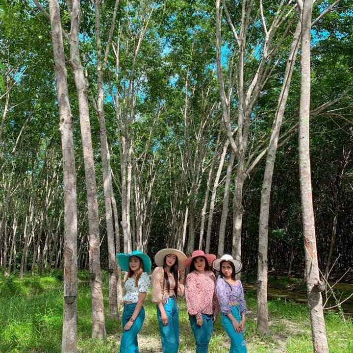 Photo of Others in Phrom Khiri