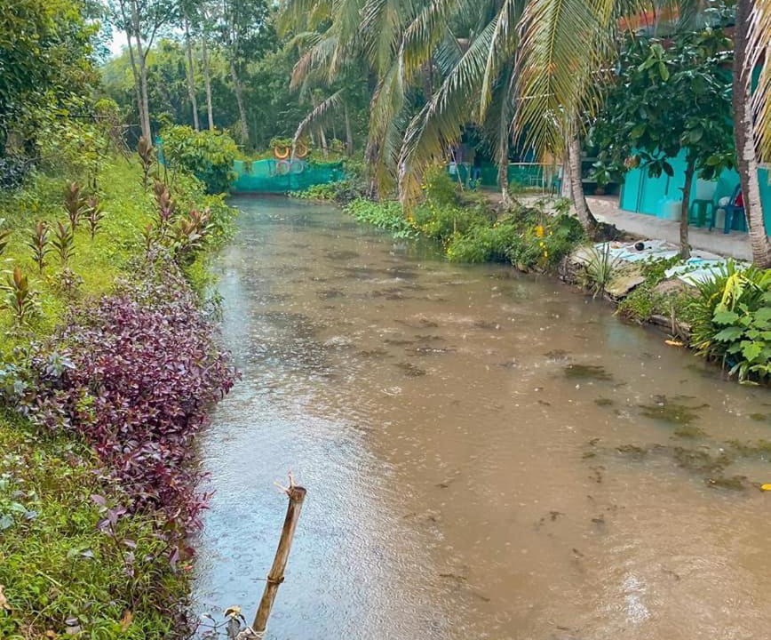 Photo of Others in Phrom Khiri