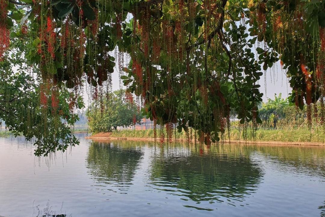 Photo of Others in Ban Tai