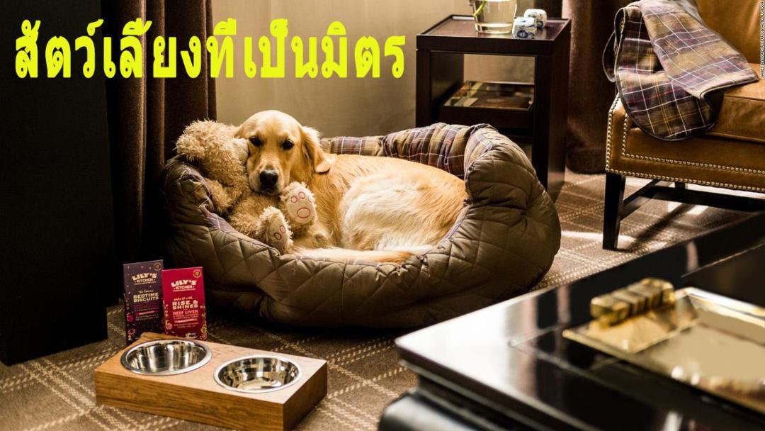 Photo of Livingroom in Warin Chamrap