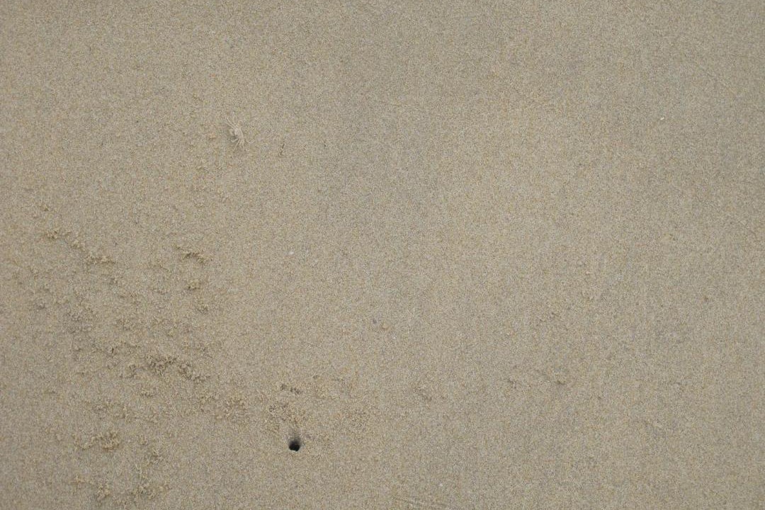 Photo of Others in Khao Lak