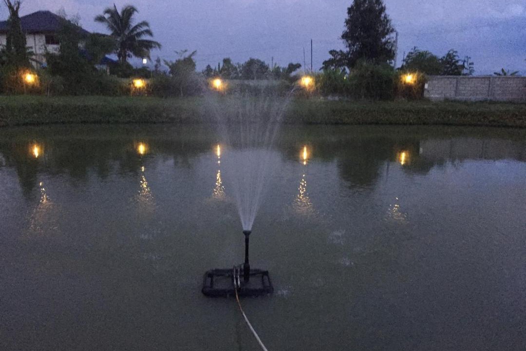 Photo of Outdoor in Ban Tom