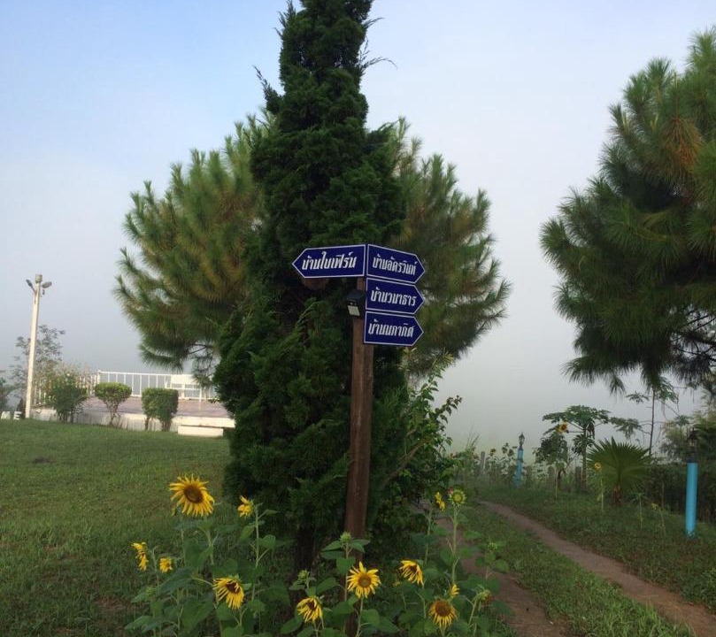 Photo of Others in Sado Phong