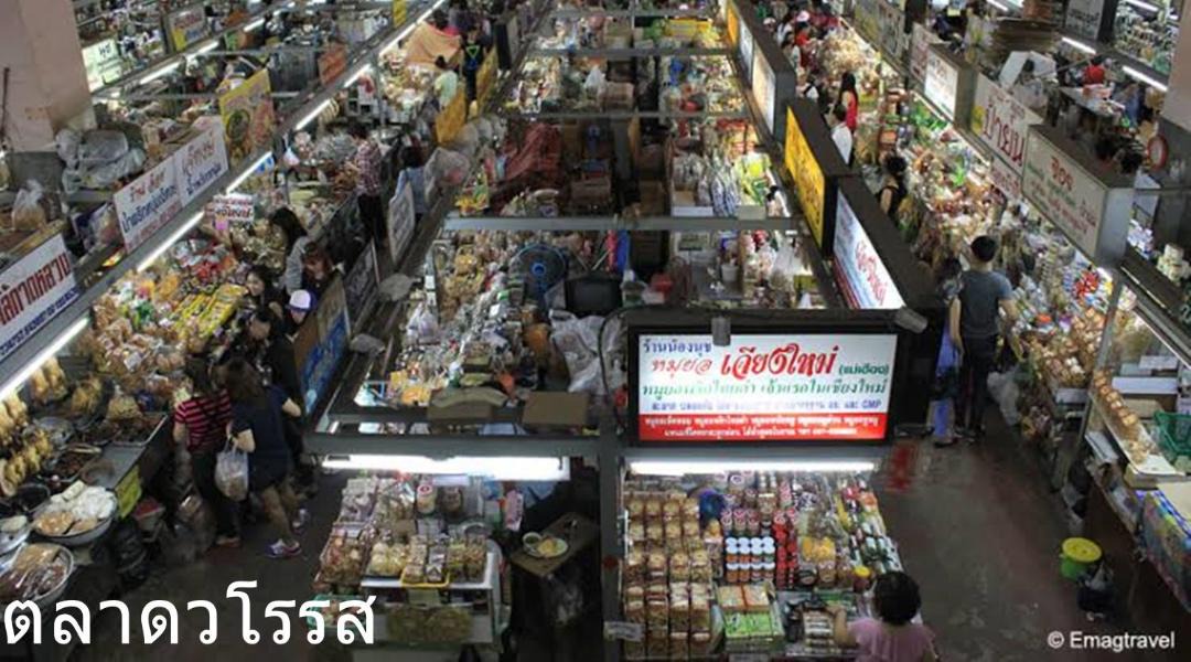 Photo of Others in San Sai