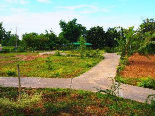 Photo of Outdoor in K. Phu Pieng