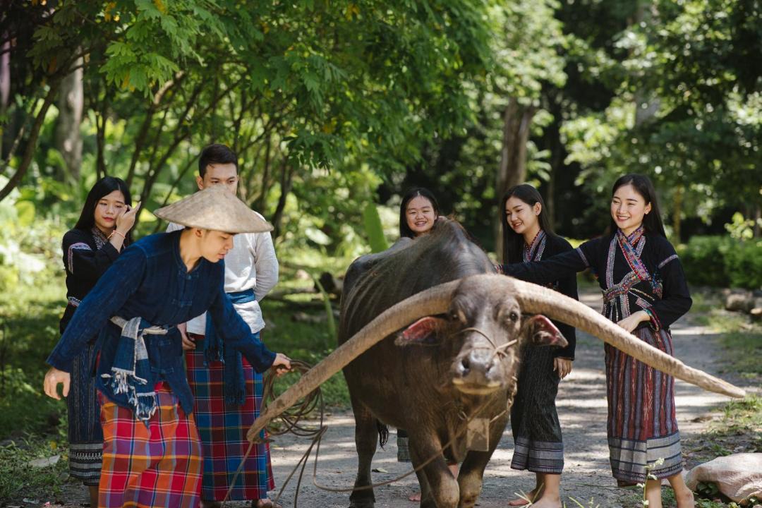 Photo of Others in Luang Prabang
