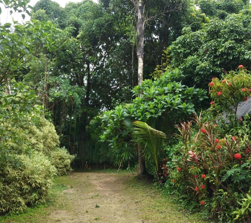 Photo of Others in Mae Kon