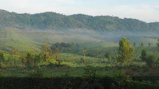 Photo of Others in Khao Kho
