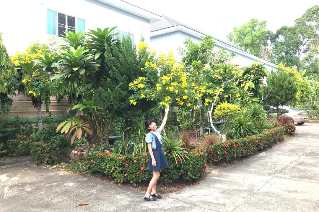 Photo of Outdoor in Downtown Krabi