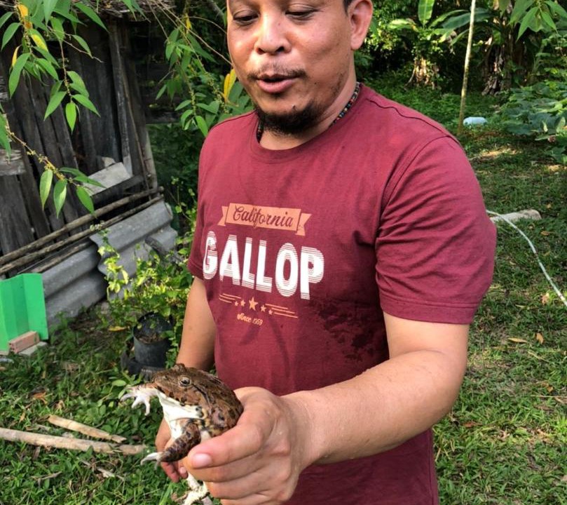 Photo of Others in Krabi