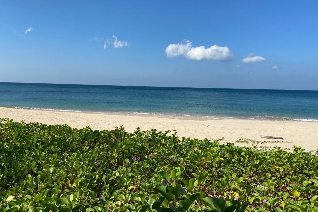 Photo of Others in Ko Lanta