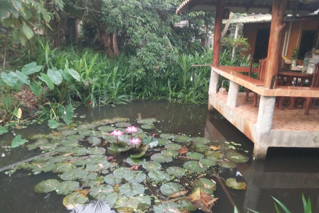 Photo of Others in Mueang Nga