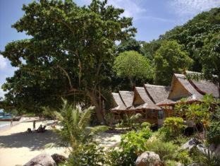Photo of Others in Ko Phi Phi