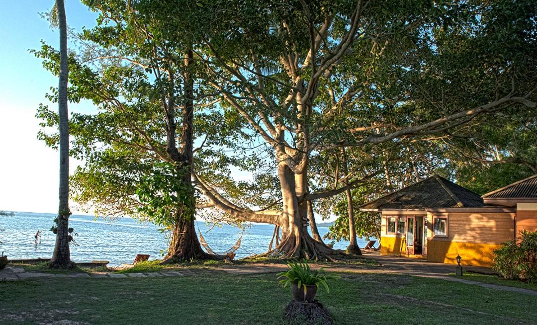 Photo of Others in Lipa Noi