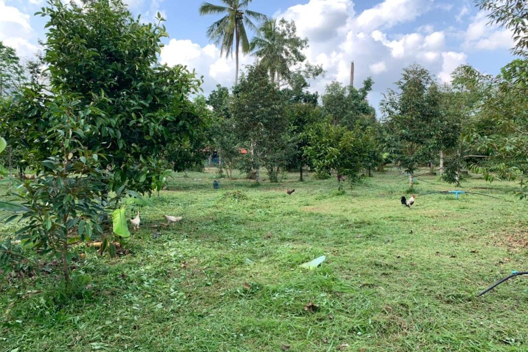 Photo of Others in Lan Saka