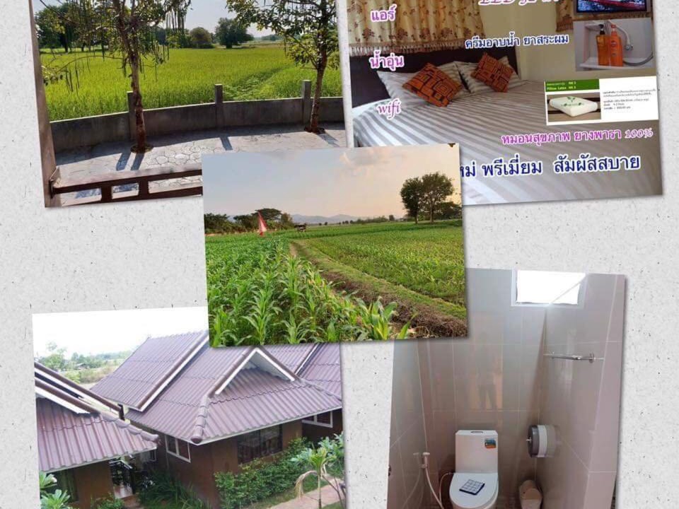 Photo of Others in Phrae