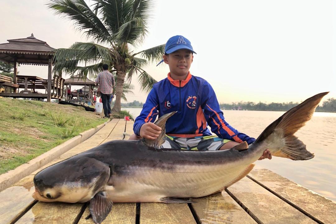 Photo of Human In Picture in Nakhon Chai Si
