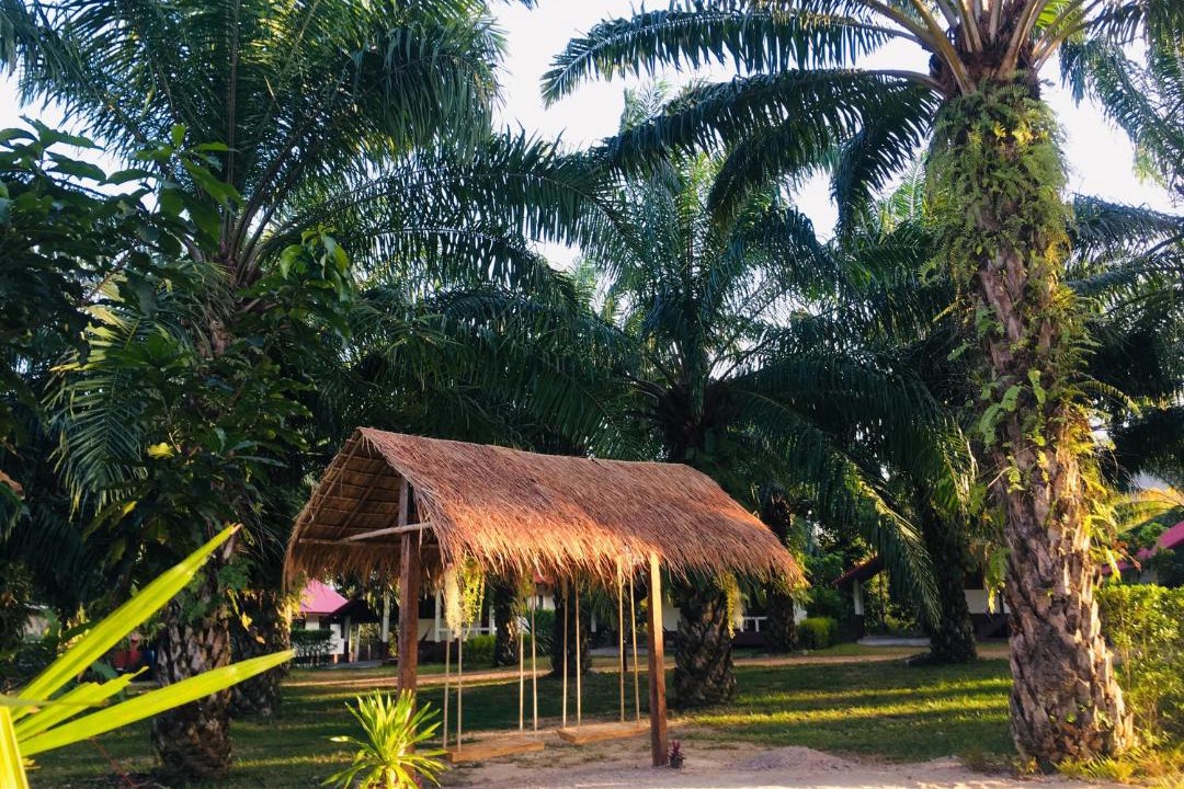 Photo of Others in Krabi