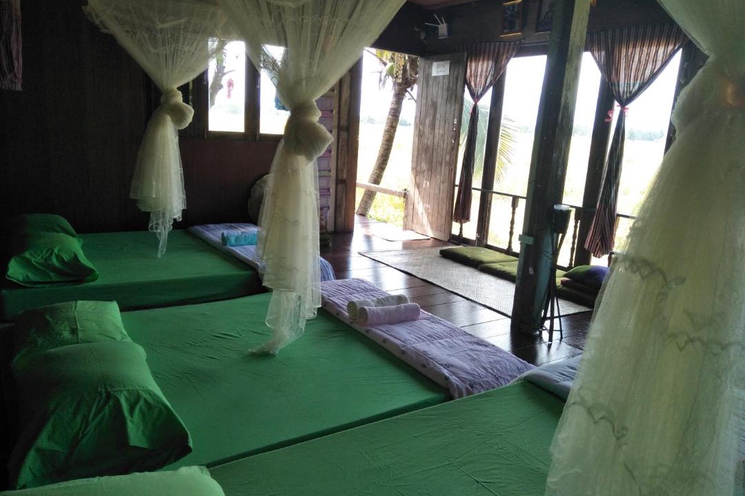 Photo of Others in Phayao