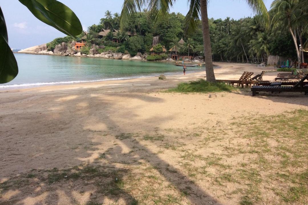 Photo of Others in Koh Tao