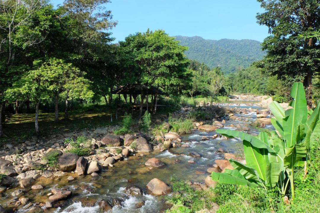 Photo of Others in Makham