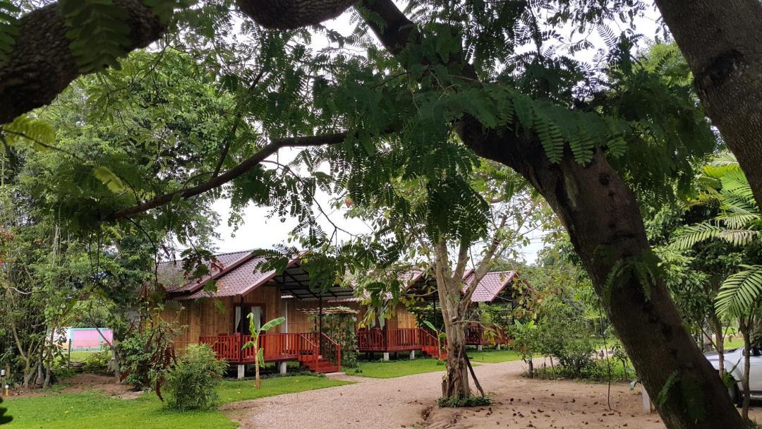 Photo of Others in Chiang Dao