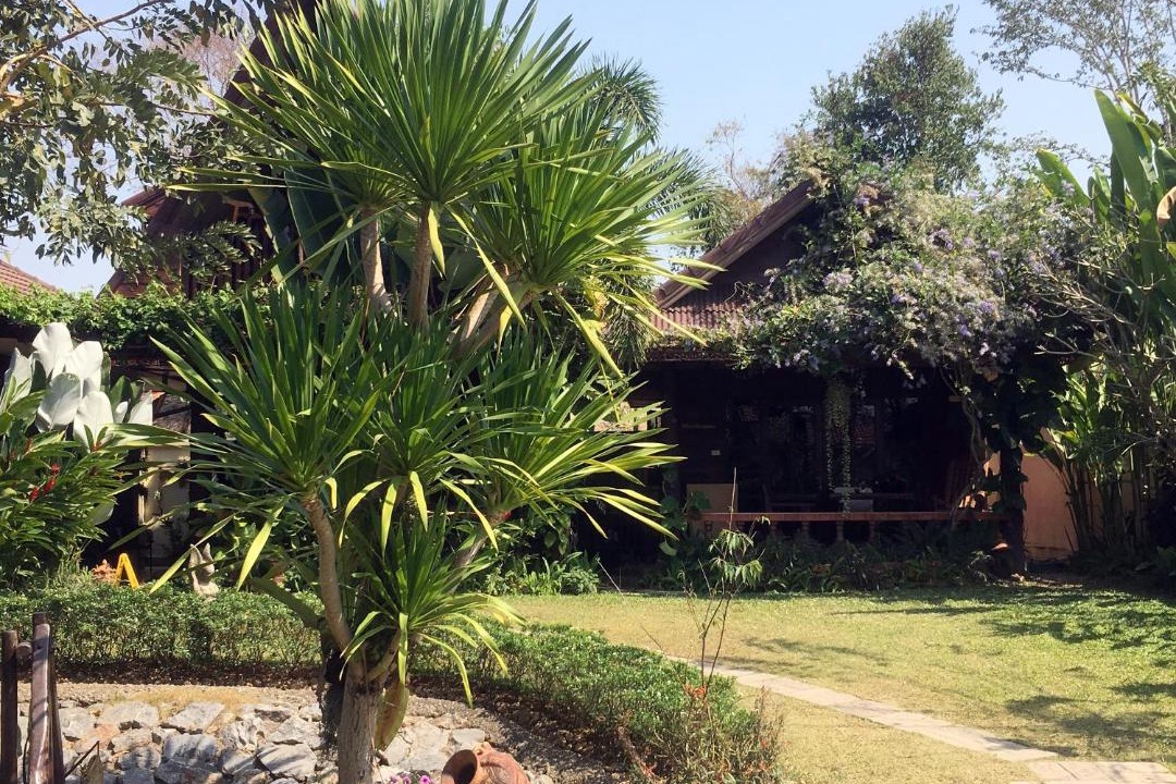Photo of Others in Chiang Rai