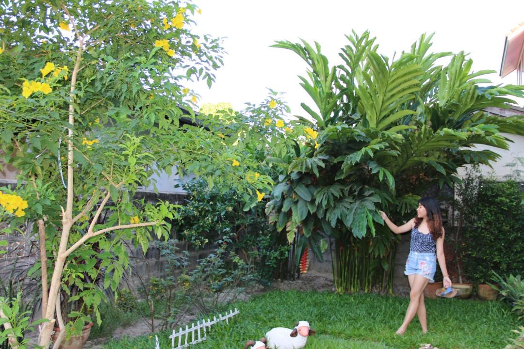 Photo of Others in Lak Si