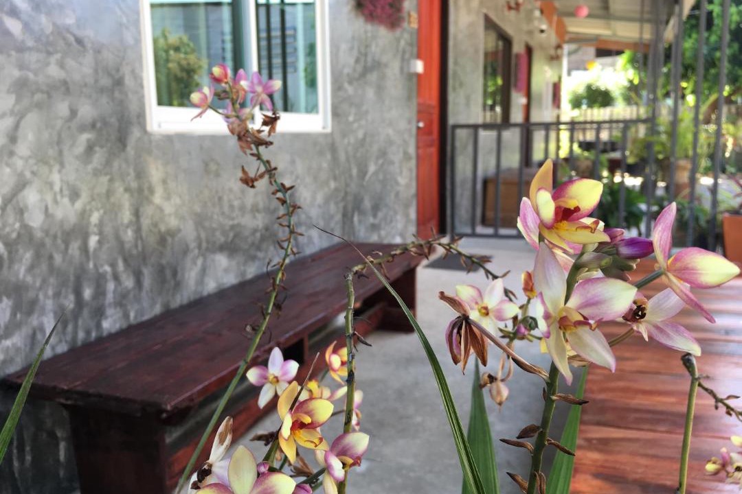 Photo of Others in Mae Chaem