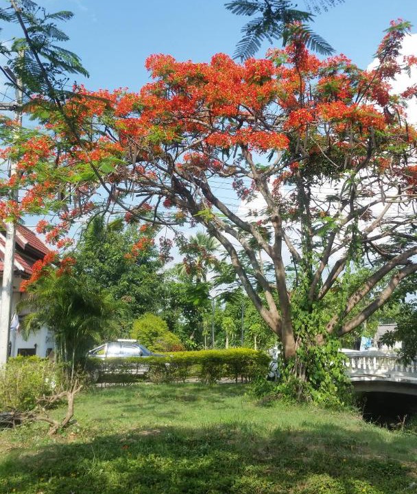 Photo of Outdoor in Khua Mung