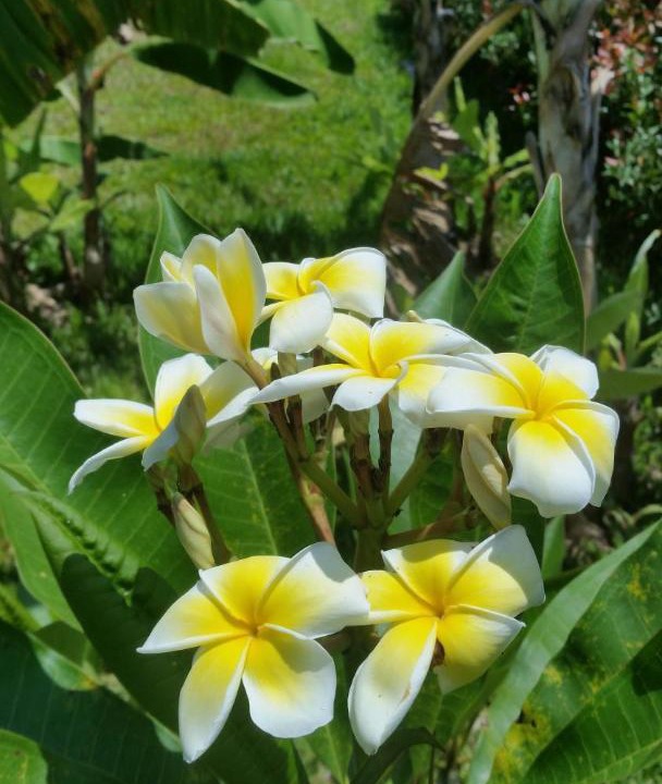 Photo of Outdoor in Khua Mung